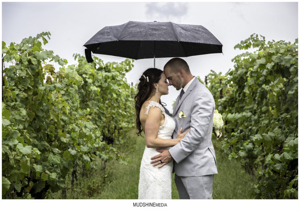 Narmada Winery, Amissville, VA Wedding