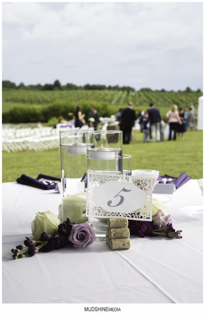 Narmada Winery, Amissville, VA Wedding