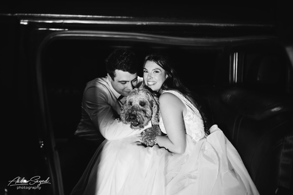 The dog of the bride and the groom where waiting for them at the end of the night. 